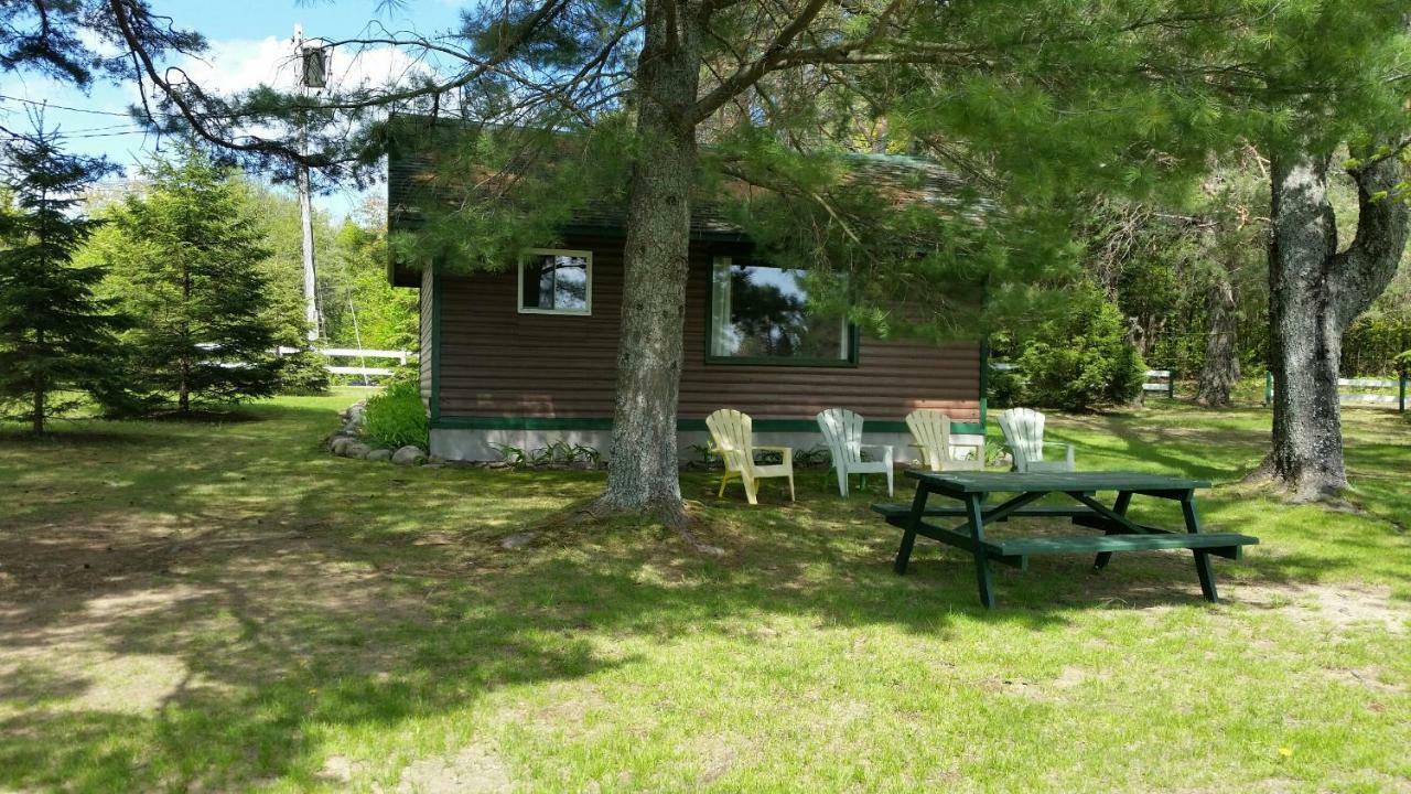 Logging Chain Lodge Cottage Resort Dwight Exterior foto